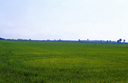 CAL-F-006315-0000