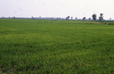 CAL-F-006524-0000