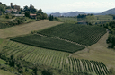CAL-F-006550-0000
