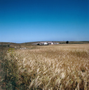 CAL-F-010658-0000