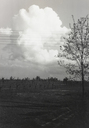 FVD-F-012488-0000