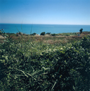ZCA-F-C00122-0000