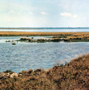 ZCA-S-000288-0010