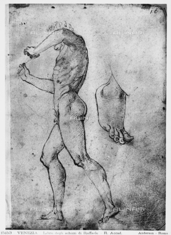 Studio di nudo maschile con piede. Disegno di Raffaello conservato alle ...